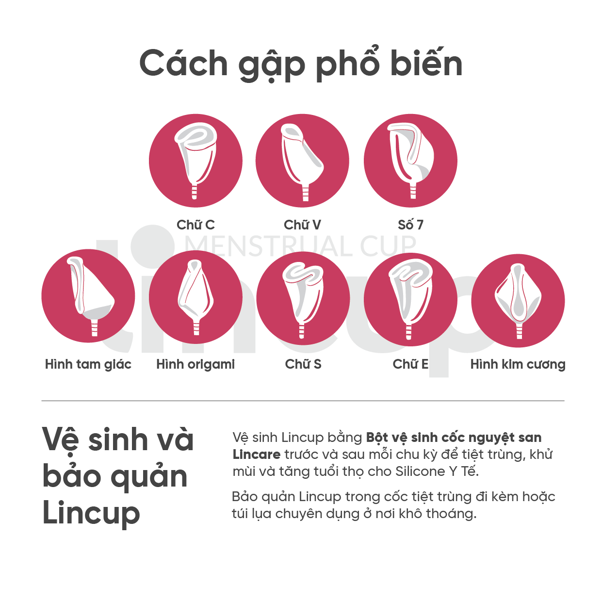 Combo Cốc nguyệt san Lincup kèm bàn chải, túi lụa