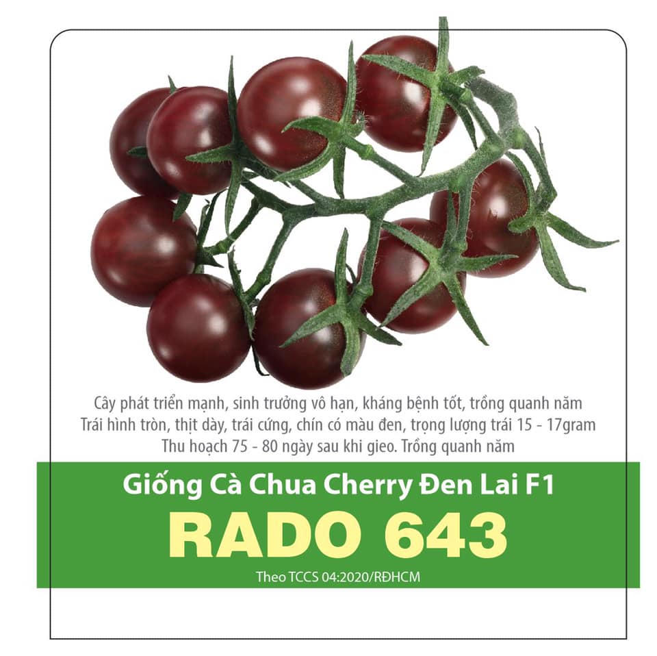 [HCM]Hạt Giống Cà Chua Cherry Đen Lai F1 Sai Trái 0.1gr