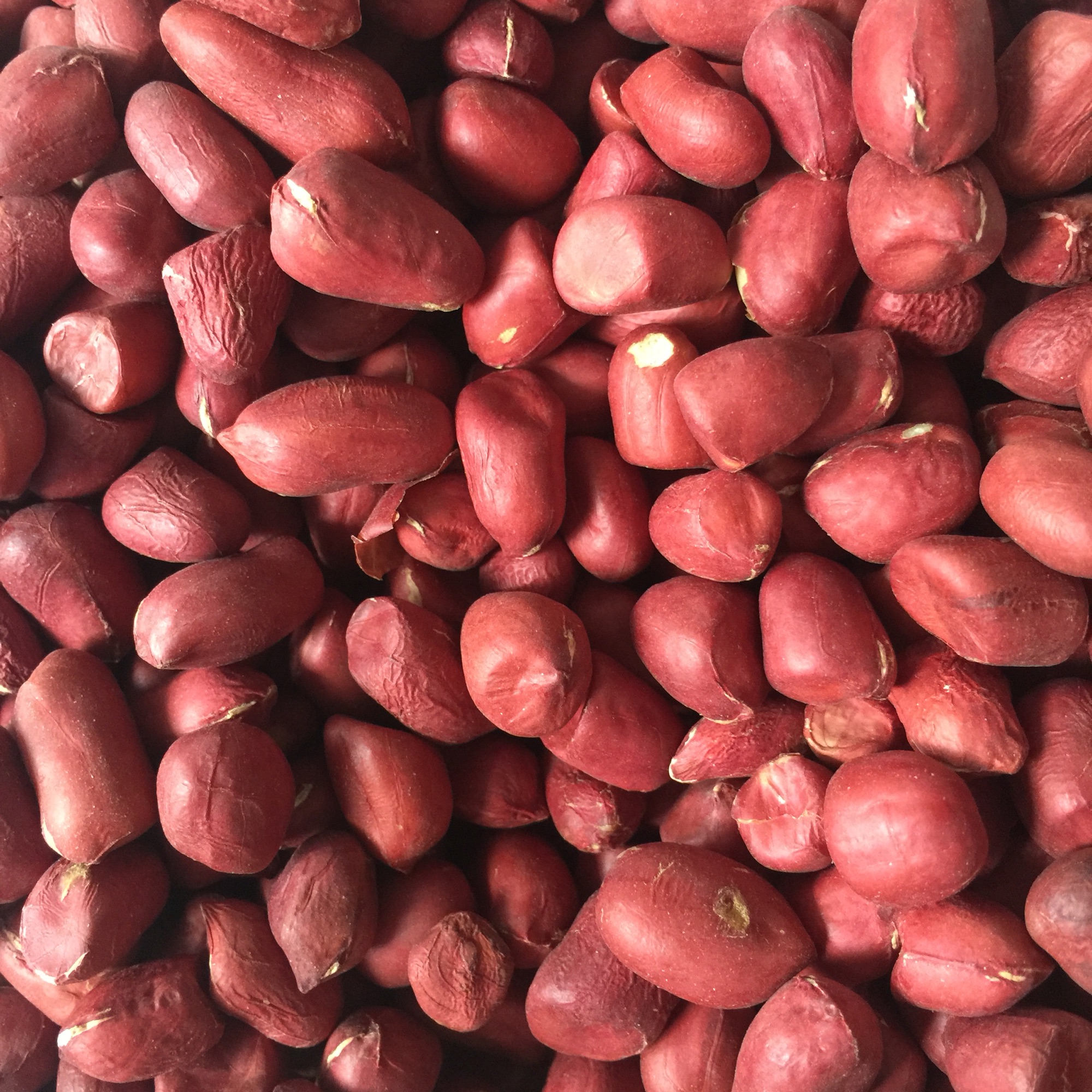 Lạc đỏ nghệ an 1kg
