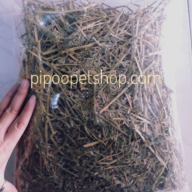 Cỏ khô Alfafa - 500g