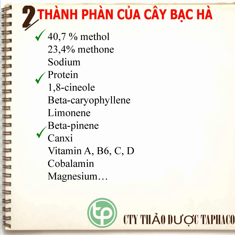 [Túi lớn 1kg] Cây bạc hà sấy khô - Thảo Dược Tấn Phát - Hàng công ty mới về - chuyên dùng để pha trà và nấu nước
