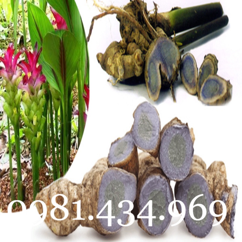 Nghệ Đen Tươi 01KG CHUẨN Tốt mới