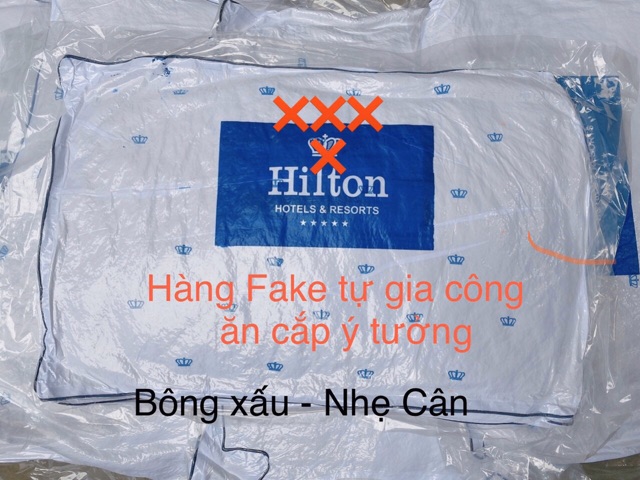Cặp Ruột Gối Hilton Hàng Nhập Khẩu 100% Cao Cấp