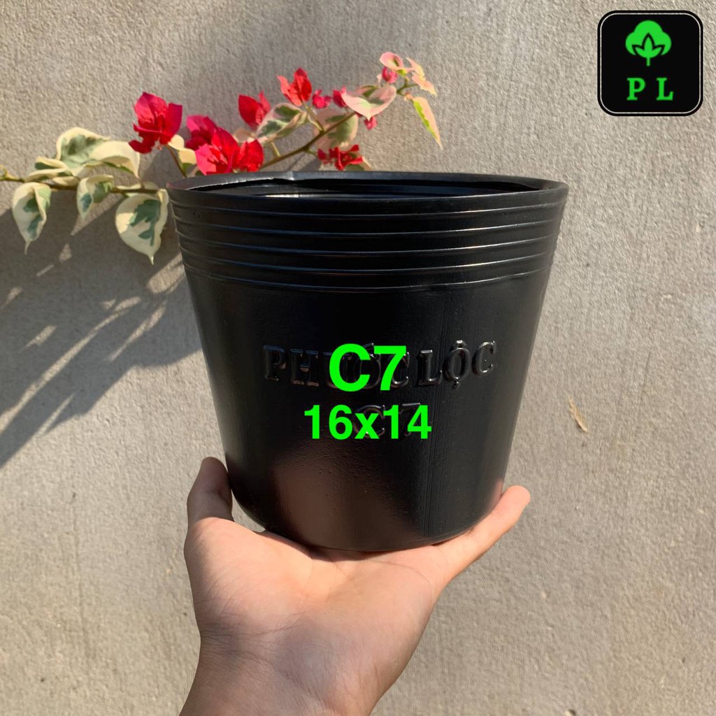 (Giá sỉ) Chậu nhựa đen C7 (16x14 cm) loại dày nhất
