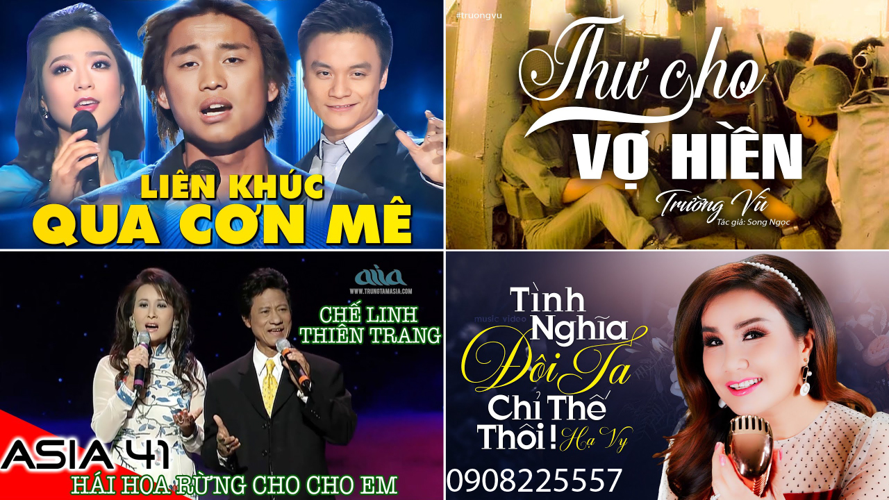 [DVD-VIDEO-PBN-4] THUÝ NGA LIÊN KHÚC QUA CƠN MÊ 42 BÀI HÁT (có Hình Video)