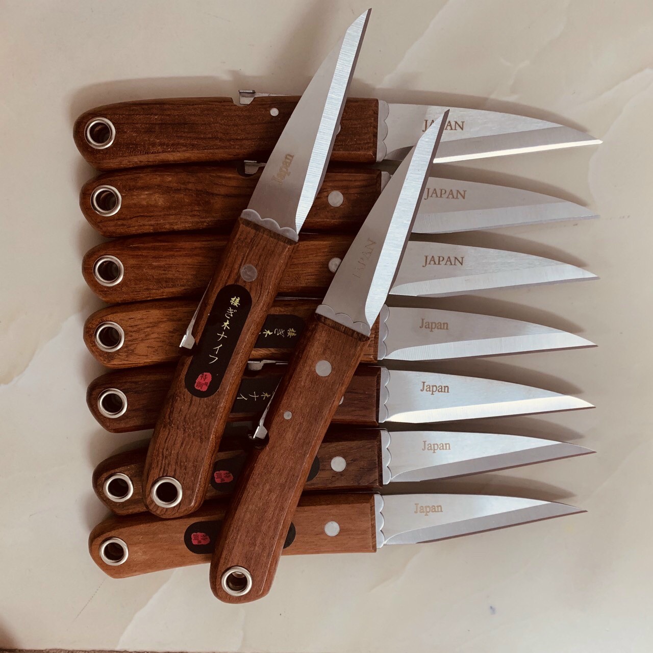 Combo 4 món chăm sóc cây cảnh, bonsai