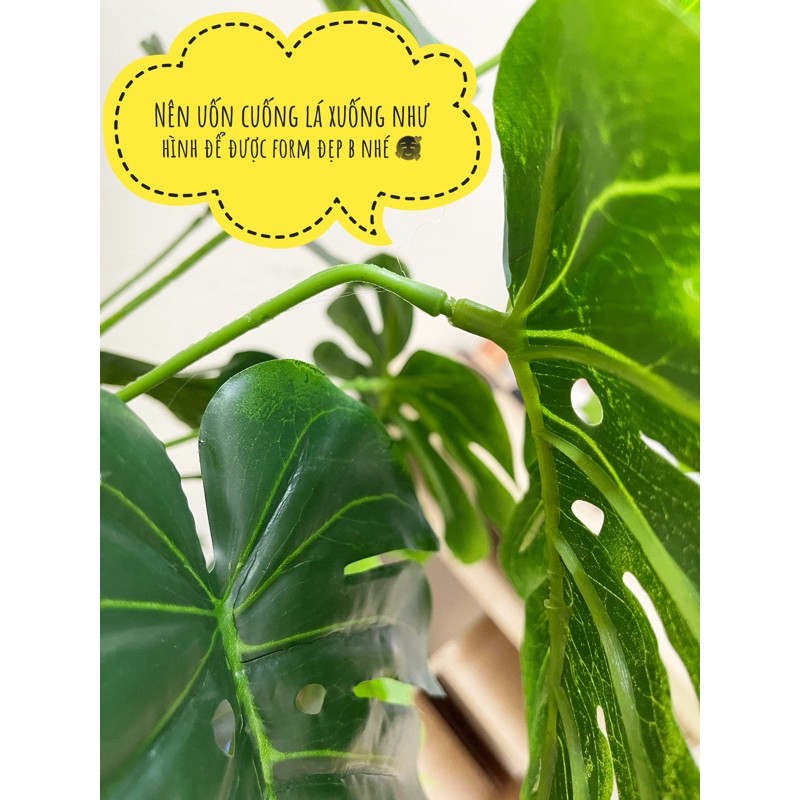 [Mã SKAMLSC228 giảm 10% đơn 100K] Cây giả cây trầu bà lá xẻ decor