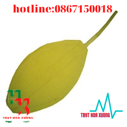 Bóng Tập Thổi, Bóng Tập Thở