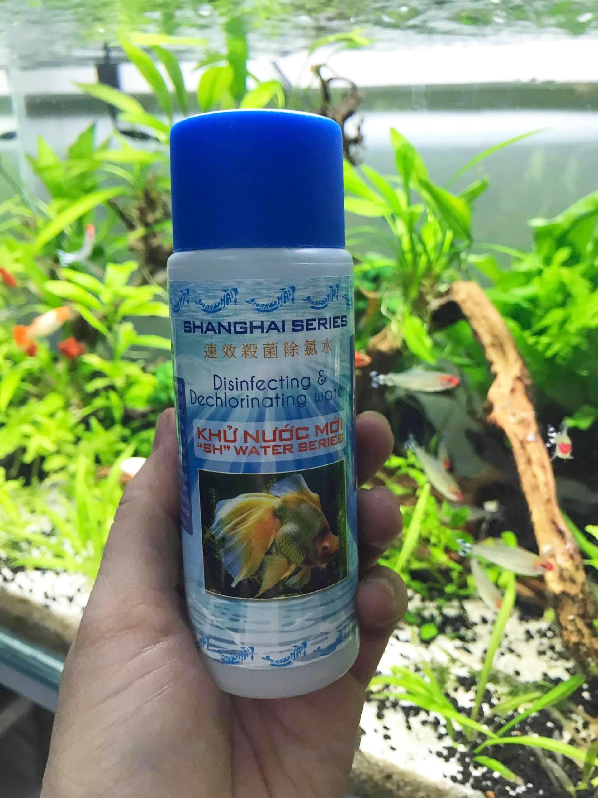 DUNG DỊCH KHỬ NƯỚC MỚI SHANGHAI 125ML CHO BỂ CÁ