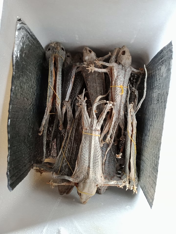 4 con tắc kè khô. Khô tắc kè 2 cặp