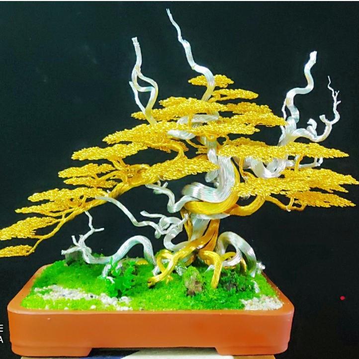 rêu làm mô hình trang trí tiêu cảnh.