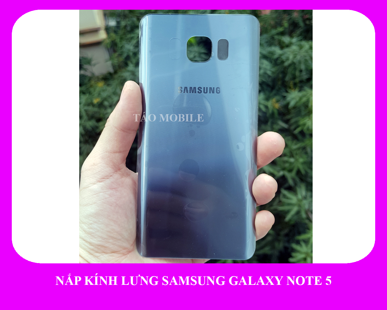 Nắp kính lưng Samsung Galaxy Note 5 zin công ty N920