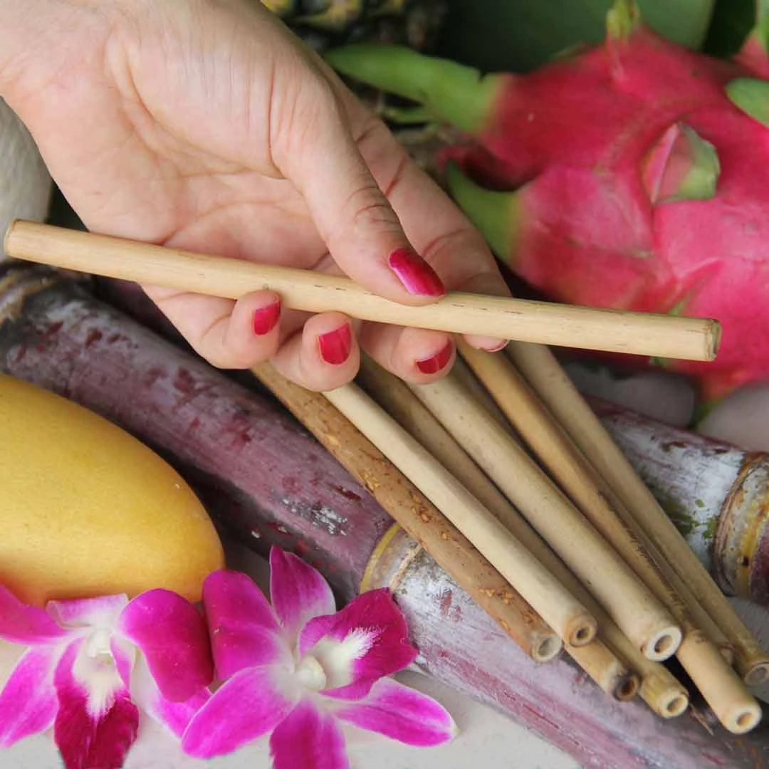 Hộp 100 ống hút tre