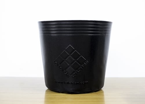 Chậu nhựa trồng cây đủ kích cỡ (1kg)