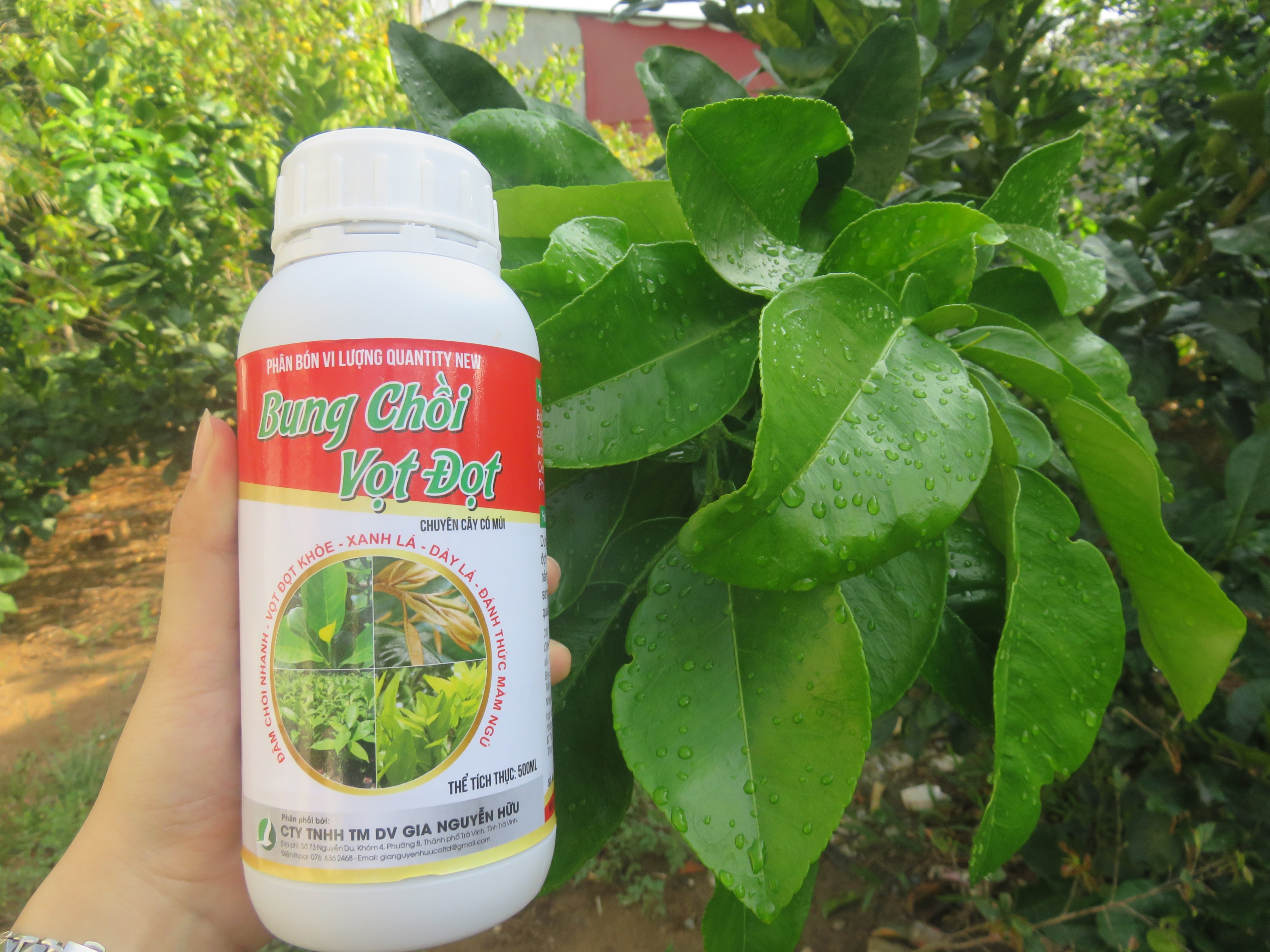 BUNG CHỒI VỌT ĐỌT CÂY ĂN TRÁI (chai 500ml)
