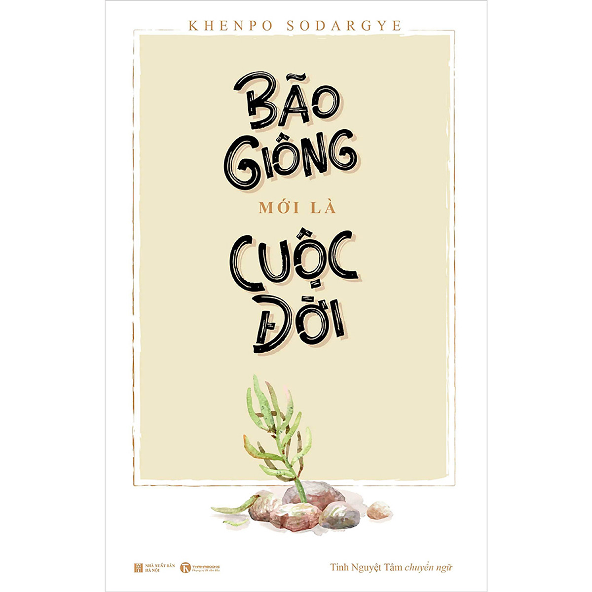 Bão giông mới là cuộc đời