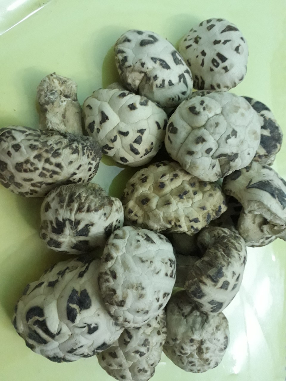 500gr NẤM ĐÔNG CÔ HOA NHẬT BẢN