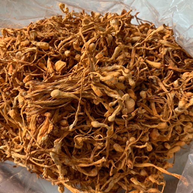 Đông Trùng Hạ Thảo Khô 100G