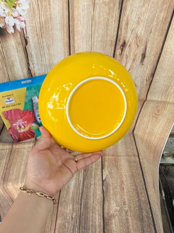 Set 2 dĩa sứ sâu lòng pastel cao cấp 20cm