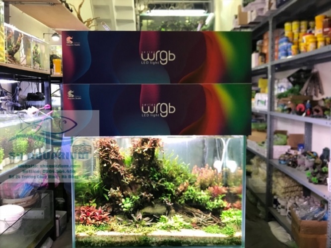 [HOÀN TIỀN 10%]ĐÈN CHIHIROS WRGB2 60CM