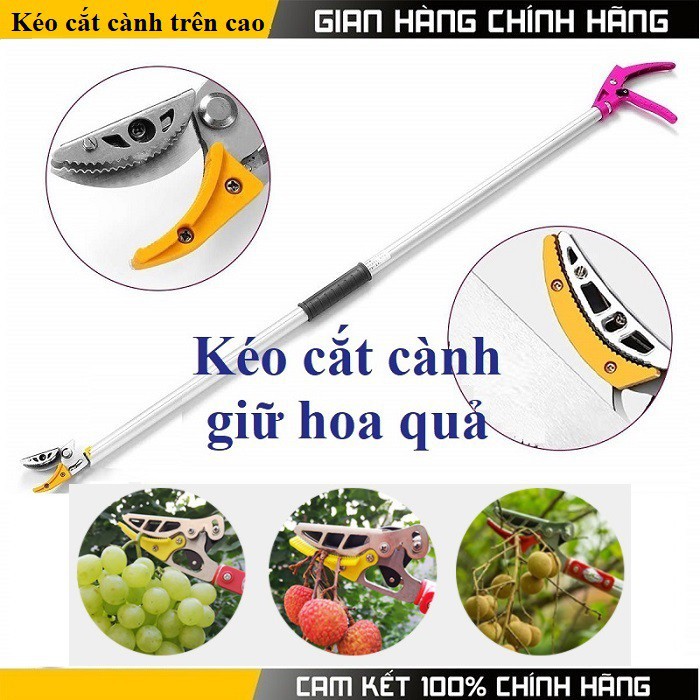 Kéo cắt cành trên cao 4 mét Kéo hái hoa quả kết hợp cưa cành trên cao Mô tả sản phẩm Xuất xứ : Đài Loan Chiều dài: Tối thiểu 2.2 mét tối đa 4mét