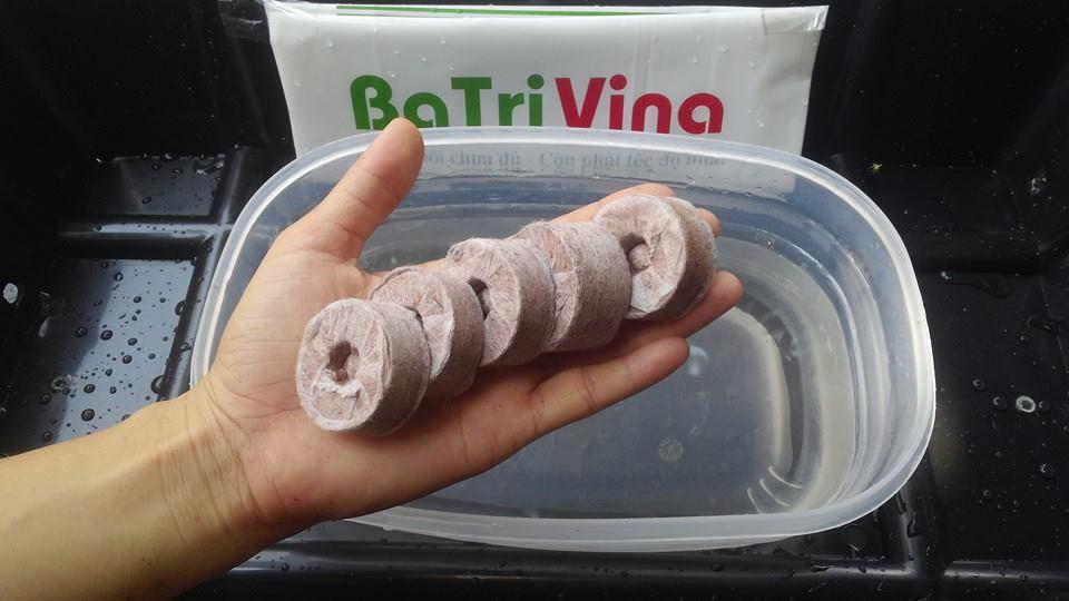 Viên nén ươm hạt