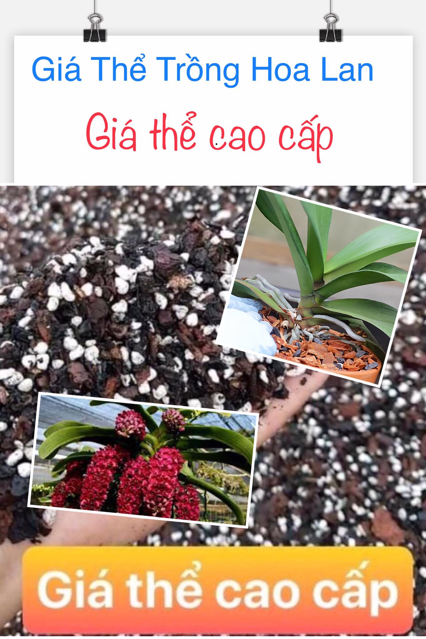 Giá thể trồng lan cao cấp đã xử lý