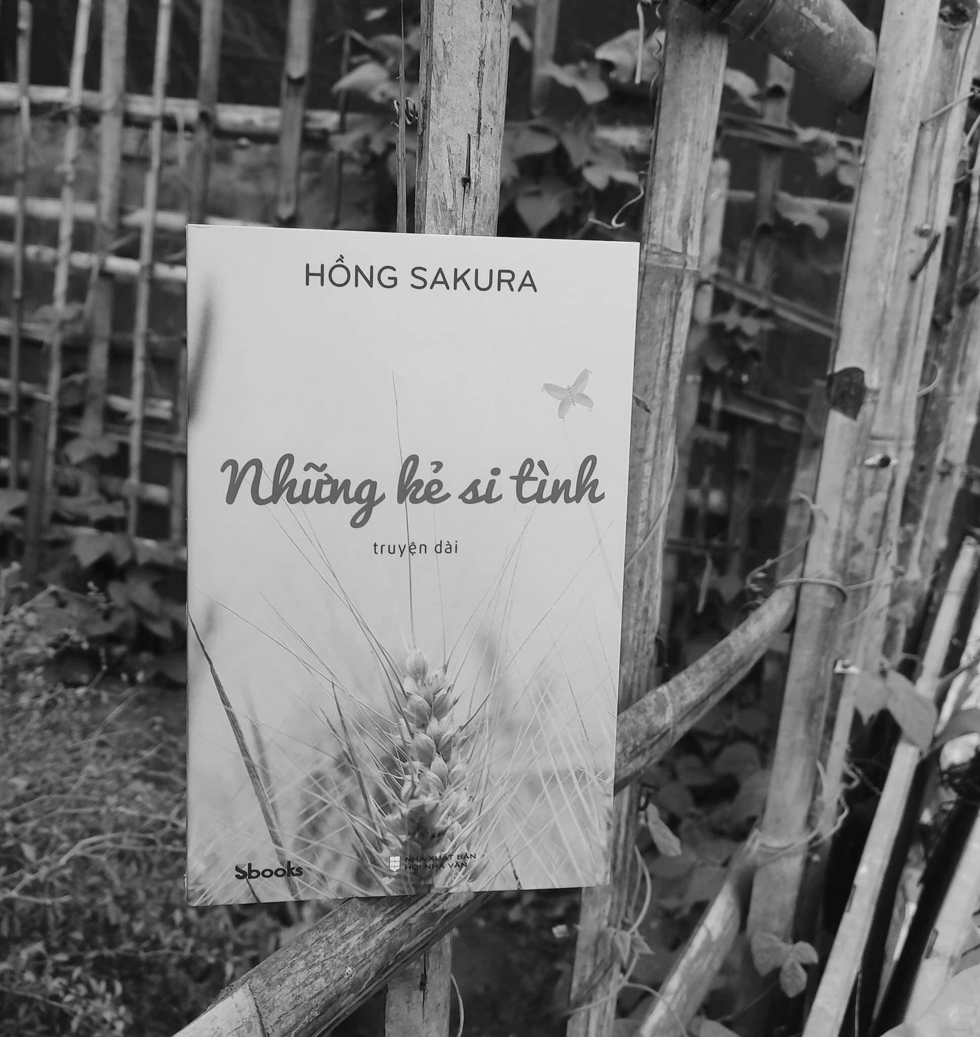 Sách - Những Kẻ Si Tình - SBOOKS