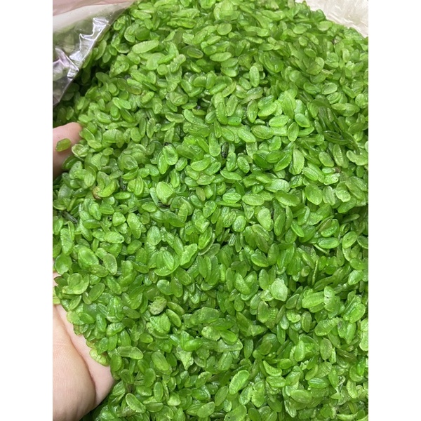500G CỐM DẸP XANH ĐẶC SẢN LÀNG VÒNG