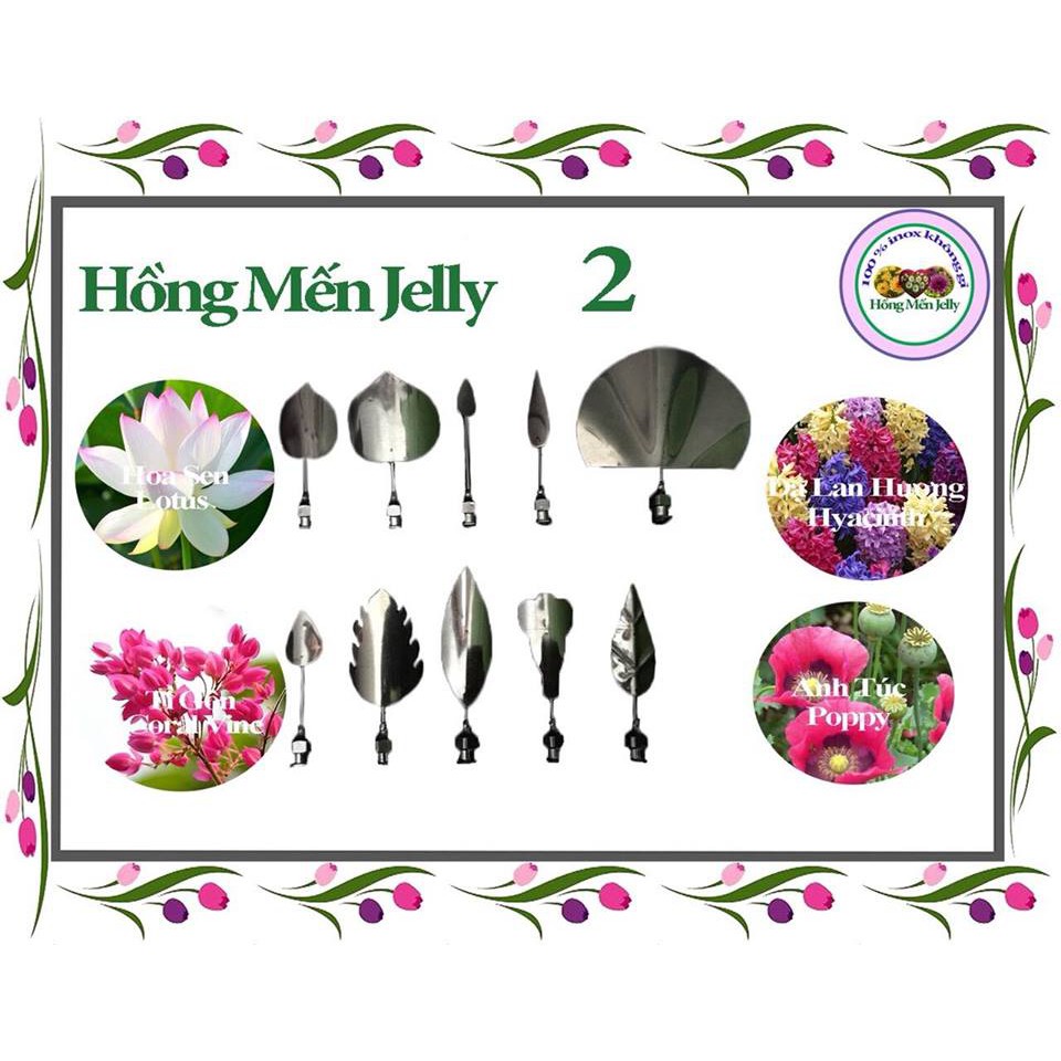 Kim làm thạch rau câu 3d hoa sen, dự lan hương, ti gôn, anh túc