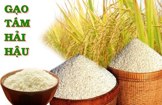 Bịch 10kg Gạo Tám Hải Hậu