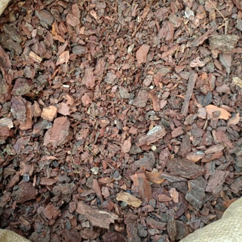 1 kg Vỏ Thông vụn Trồng Lan