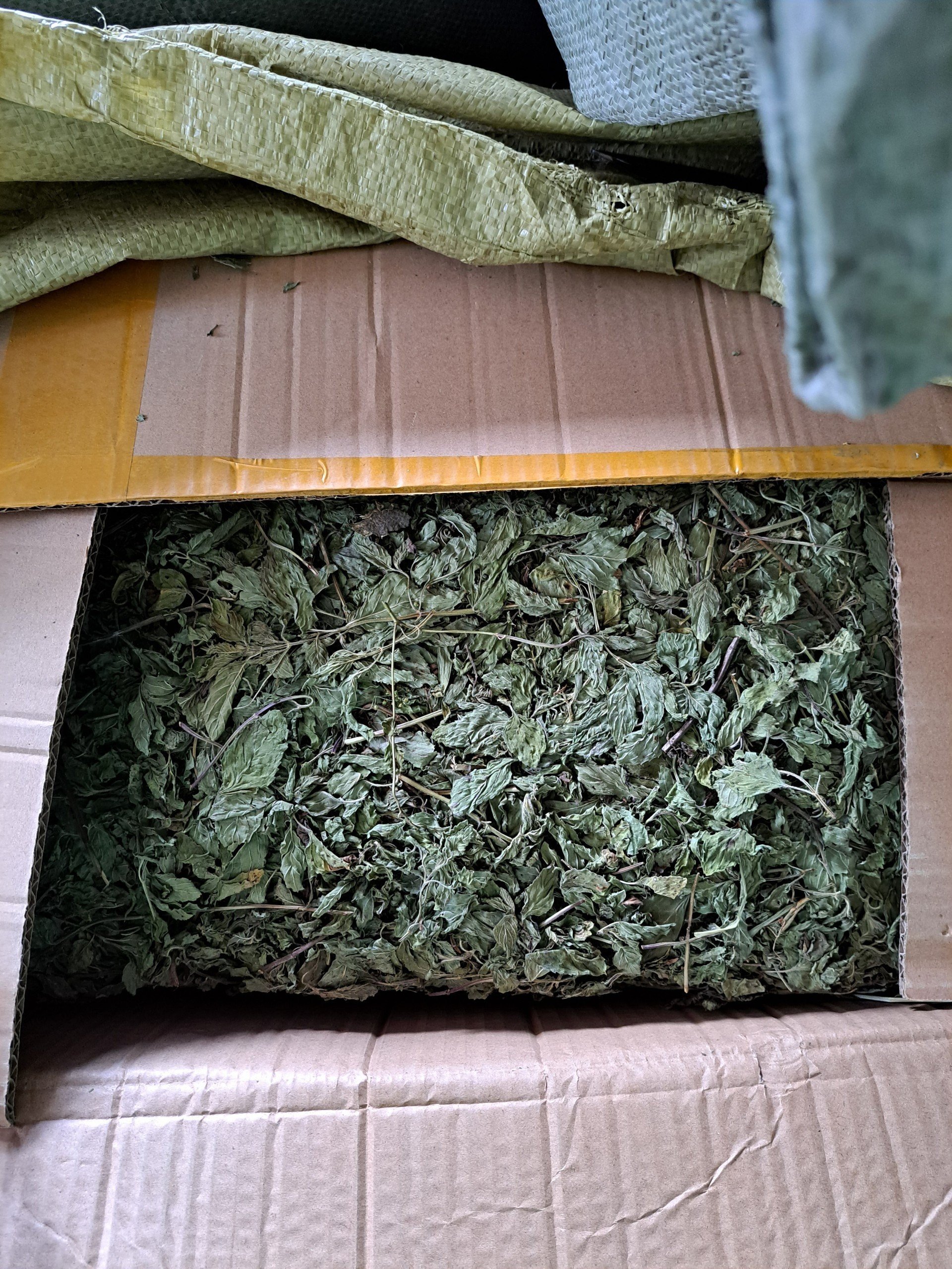 Bạc Hà Sấy Khô (Trà Bạc Hà) Lon 100Gram