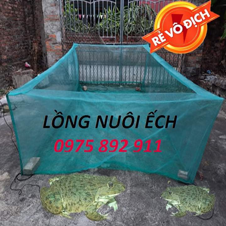 Lồng nuôi ếch nhái lưới thái 3x2x0,8v20