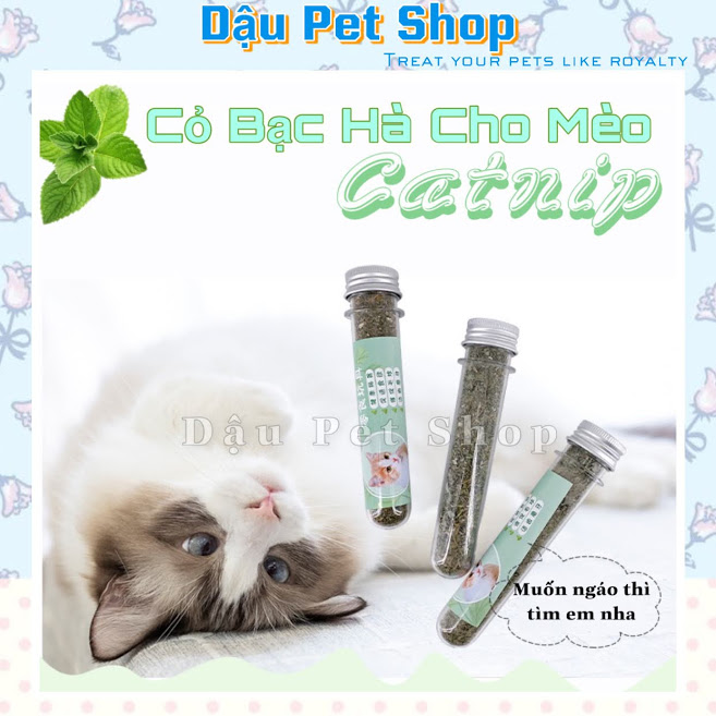 [HCM]Catnip cỏ bạc hà dành cho mèo dạng ống
