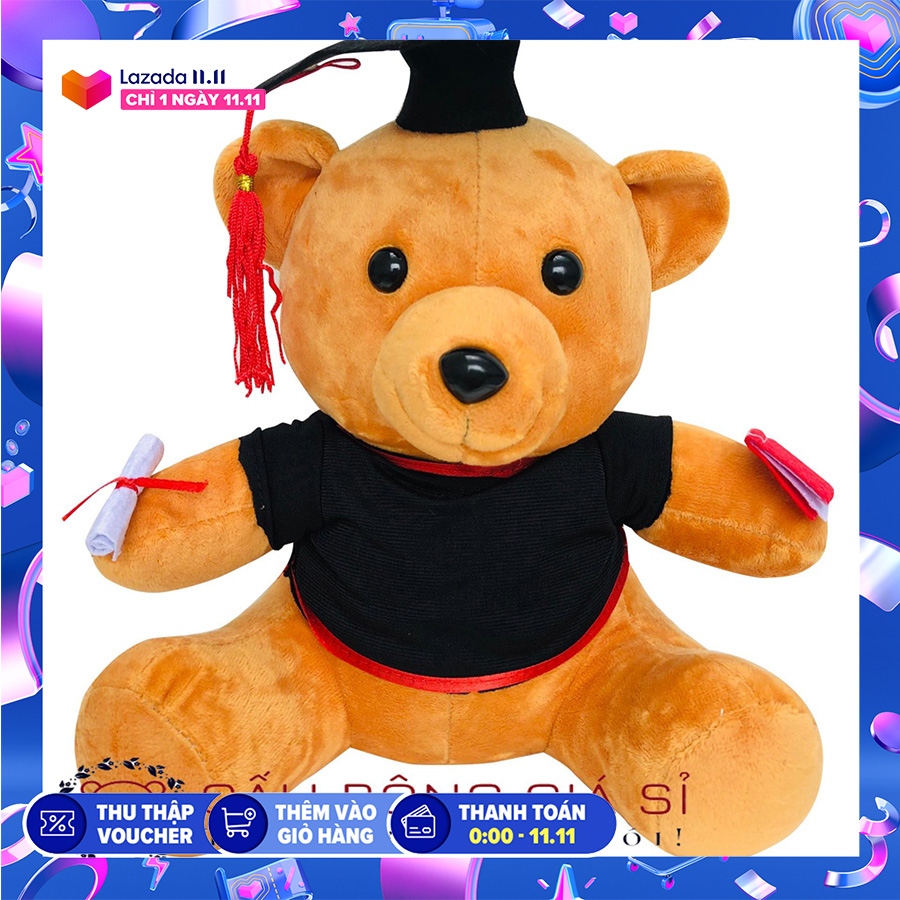 [HCM]Gấu bông tốt nghiệp 25CM