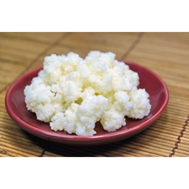 Nấm sữa kefir- Nấm làm sữa chua