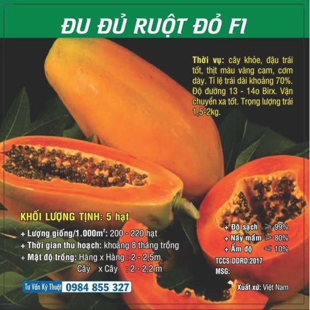Hạt giống Đu Đủ ruột Đỏ F1 TN