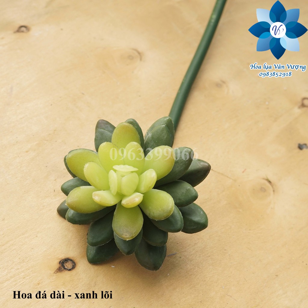 Hoa Đá Giả, Hoa Sen Đá Giả Cành Dài