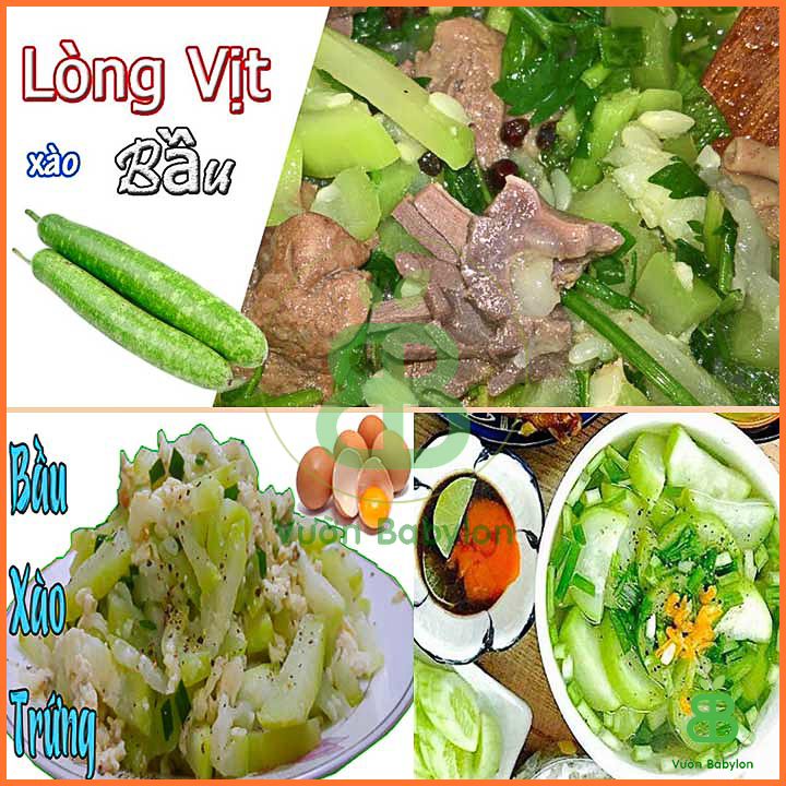 Hạt Giống Bầu Lai 2G Quả Dài, Siêu Trái