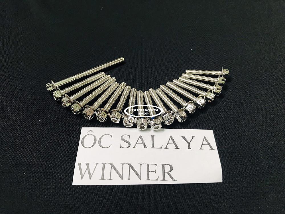 Bộ Ốc Lốc máy SALAYA Gắn WINNER 18 con