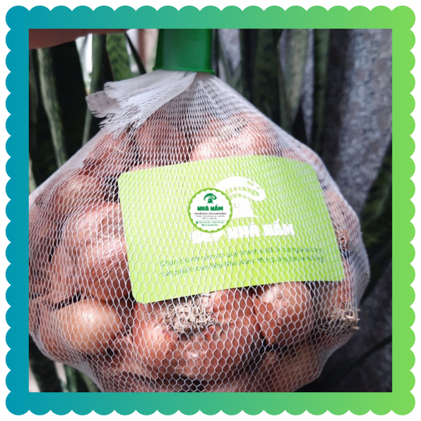 Hành kinh môn hải dương - 1kg