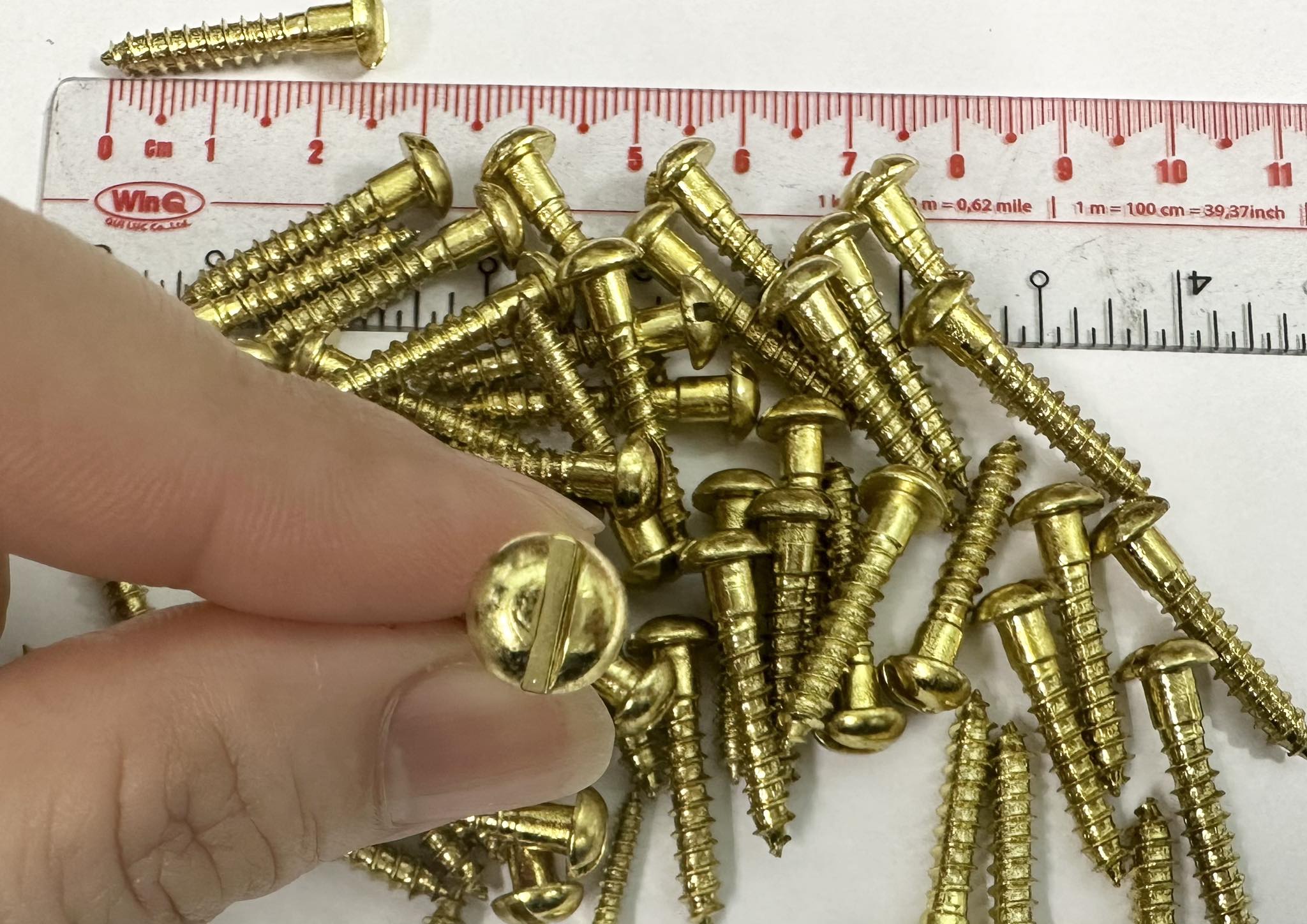 [HCM]Combo 100 con vít đồng thau 4x25mm