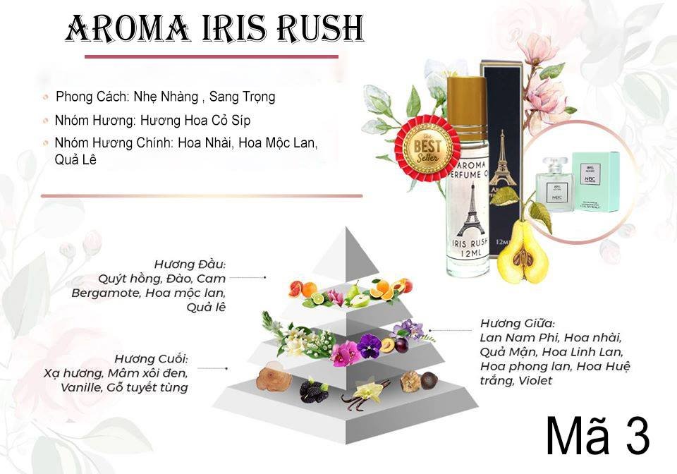 Tinh dầu nước hoa Pháp Aroma Perfume dạng lăn 12ml