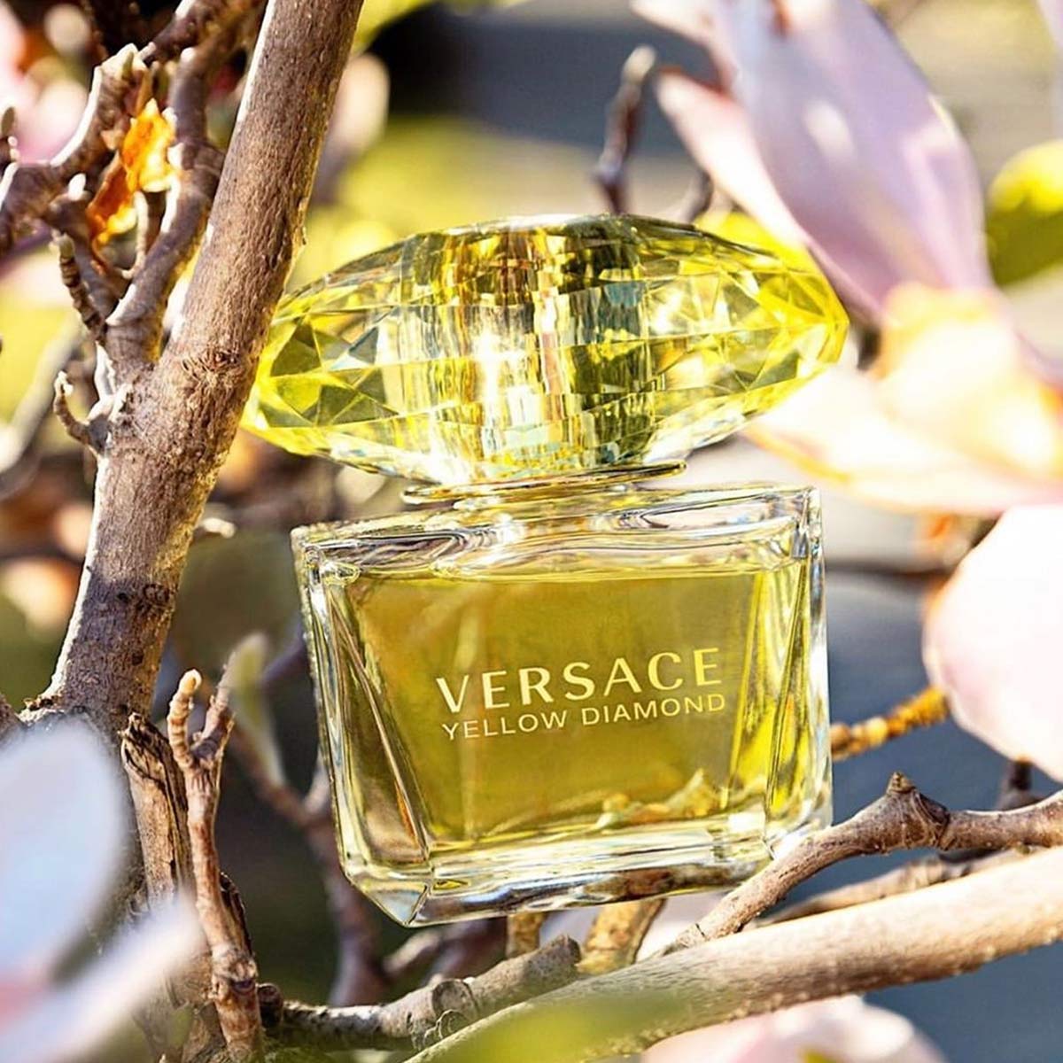 Nước hoa Versace Yellow Diamond