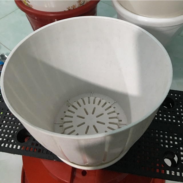 [HCM]Chậu Nhựa Sọc + Tặng Đế Lót (Size 19 X 15Cm)