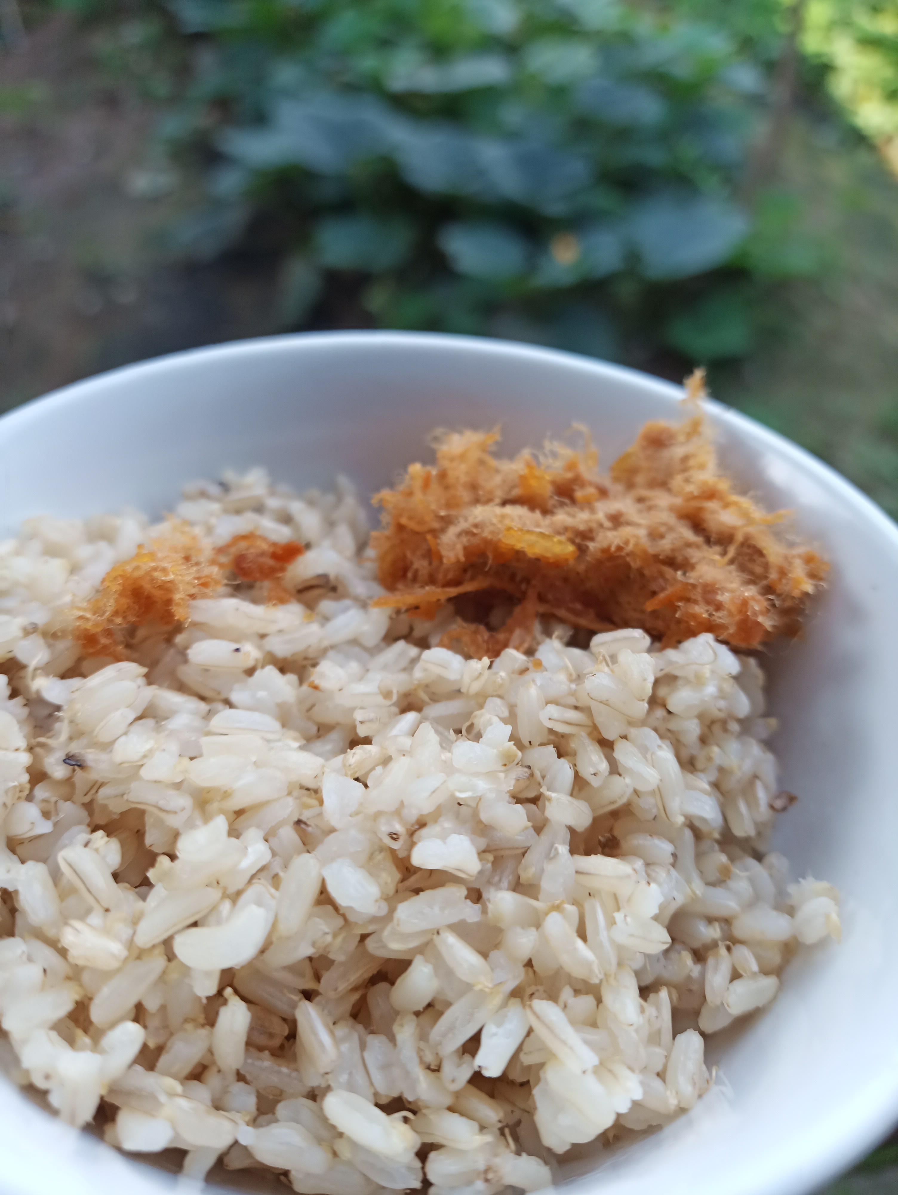 Gạo mầm Kagaba 1 kg