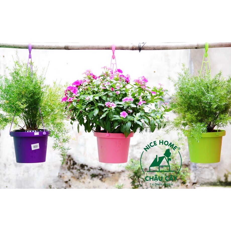Chậu cây tự dưỡng thông minh- K03