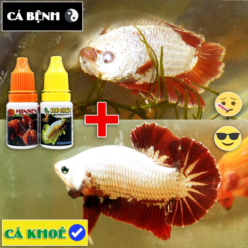 Cám CC Red Thức ăn cho cá BETTA và GUPPY