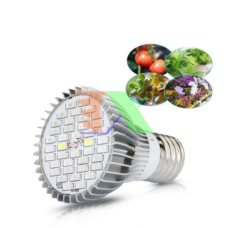 Led grow lights (30W, E27)